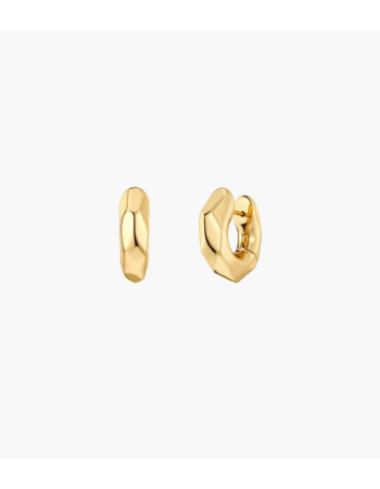 Σκουλαρίκια Edblad Crystalite L Gold