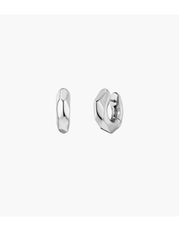 Σκουλαρίκια Edblad Crystalite L Steel